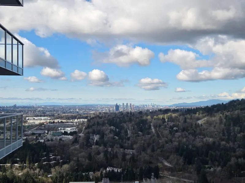 4201 720 FARROW STREET - photo 3 of 25