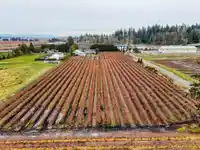 3885 152 STREET - thumbnail 11