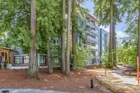 311 3438 146A STREET - thumbnail 17