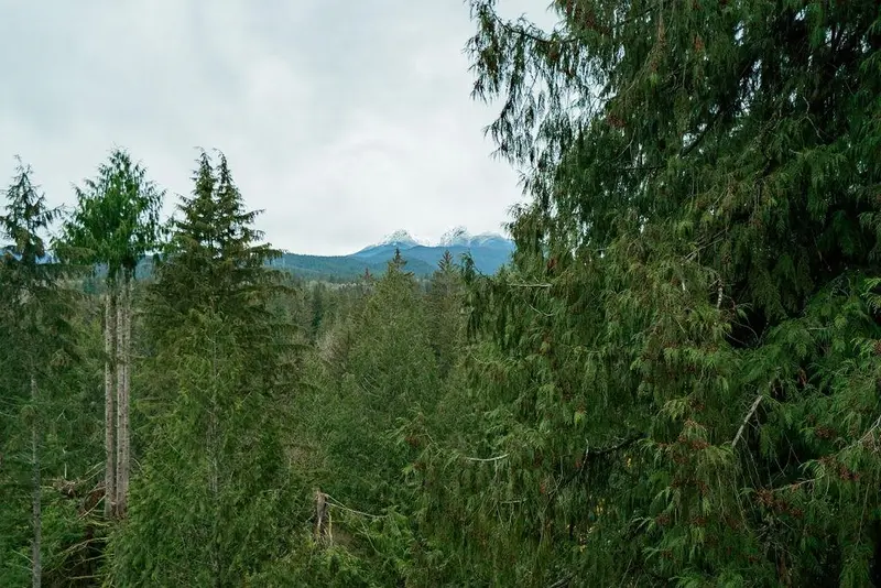 12680 ANSELL STREET - photo 3 of 25