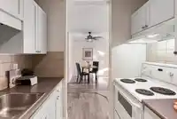 109 1850 E SOUTHMERE CRESCENT - thumbnail 14