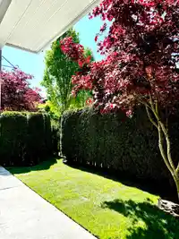64 15988 32 AVENUE - thumbnail 22