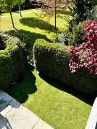 64 15988 32 AVENUE - thumbnail 24