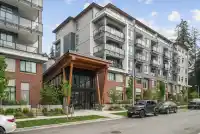 317 3528 146A STREET - thumbnail 24