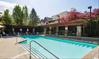 22 2501 161A STREET - thumbnail 24