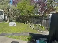2872 MCKENZIE AVENUE - thumbnail 3