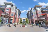 316 2970 KING GEORGE BOULEVARD - thumbnail 13