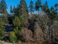 2508 BAYVIEW STREET - thumbnail 6