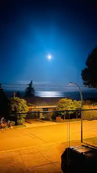 13259 14 AVENUE - thumbnail 40