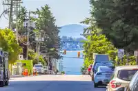 301 1580 MARTIN STREET - thumbnail 40
