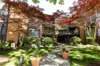 316 15300 17 AVENUE - thumbnail 2
