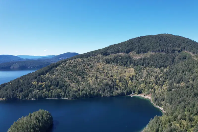 DL 4055 E DARK COVE JERVIS ROAD - photo 2 of 25