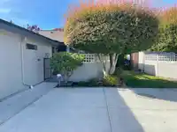 2 14217 18A AVENUE - thumbnail 3