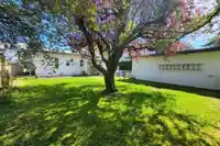 1137 PARKER STREET - thumbnail 20