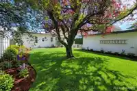1137 PARKER STREET - thumbnail 21