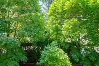 210 15188 29A AVENUE - thumbnail 31