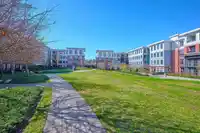 421 15137 33 AVENUE - thumbnail 24