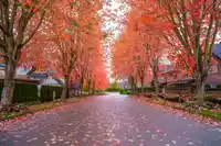 137 2501 161A STREET - thumbnail 2