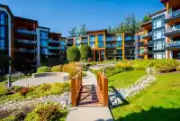 509 14855 THRIFT AVENUE - thumbnail 3