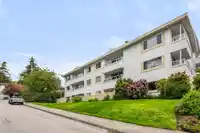 305 15010 ROPER AVENUE - thumbnail 20