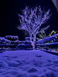 132 15168 33 AVENUE - thumbnail 35
