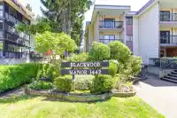 119 1442 BLACKWOOD STREET - thumbnail 1