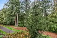 204 15145 36 AVENUE - thumbnail 25