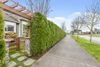 3 350 174 STREET - thumbnail 31