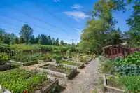 53 2929 156 STREET - thumbnail 39