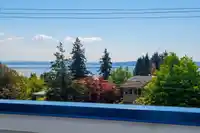 15627 BUENA VISTA AVENUE - thumbnail 27