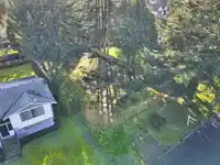 15824 TULIP DRIVE - thumbnail 16