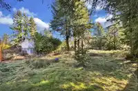 15824 TULIP DRIVE - thumbnail 17