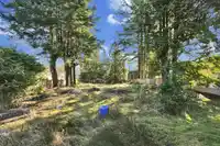 15824 TULIP DRIVE - thumbnail 18