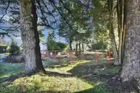 15824 TULIP DRIVE - thumbnail 19