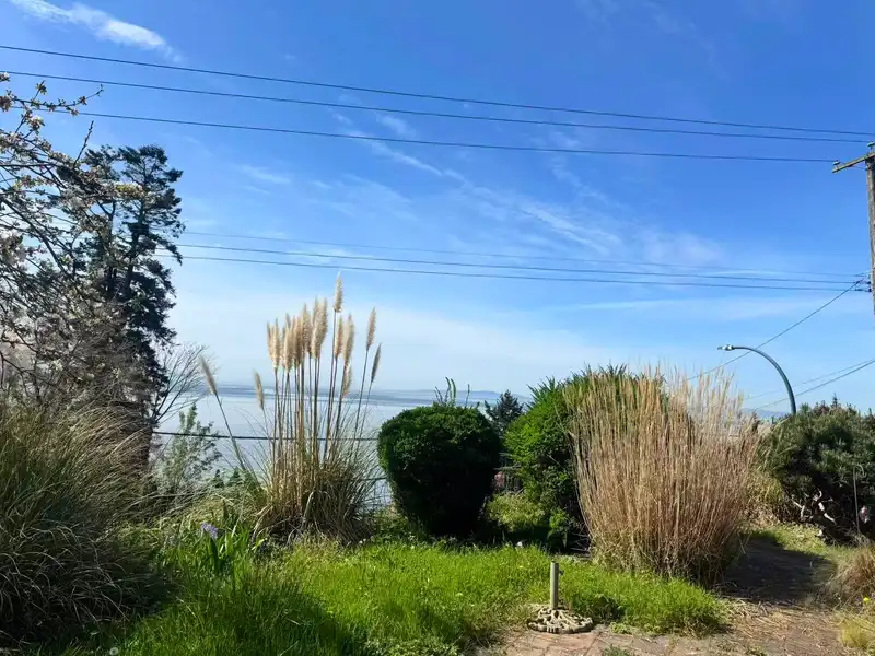 14391 MARINE DRIVE - photo 3 of 18