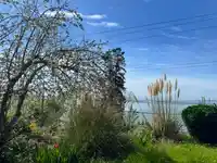 14391 MARINE DRIVE - thumbnail 4