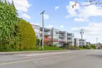 102 1220 FIR STREET - thumbnail 33