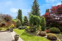 12986 20 AVENUE - thumbnail 5