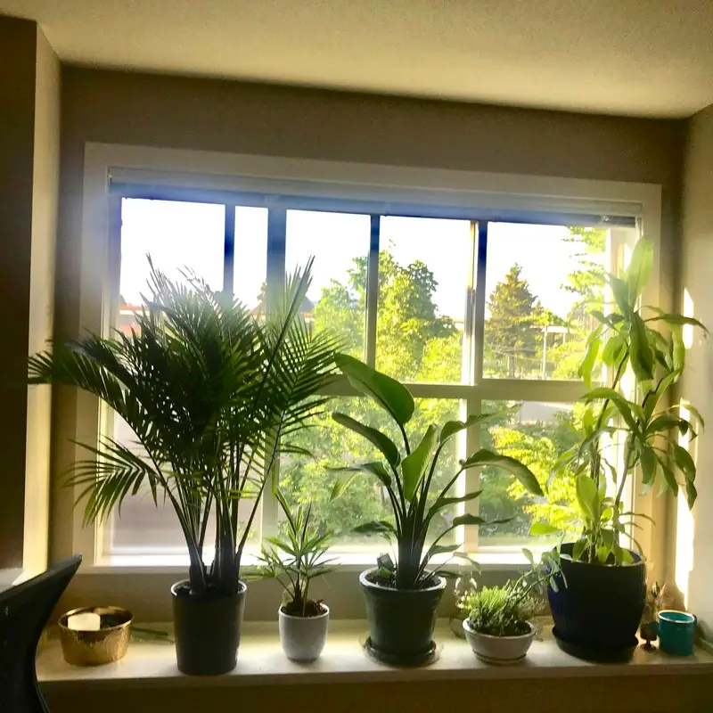 314 5889 IRMIN STREET - photo 4 of 14