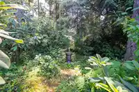 87 2533 152 STREET - thumbnail 13