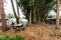 317 1840 160 STREET - thumbnail 34