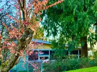 990 BALSAM STREET - thumbnail 1