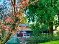 990 BALSAM STREET - thumbnail 4