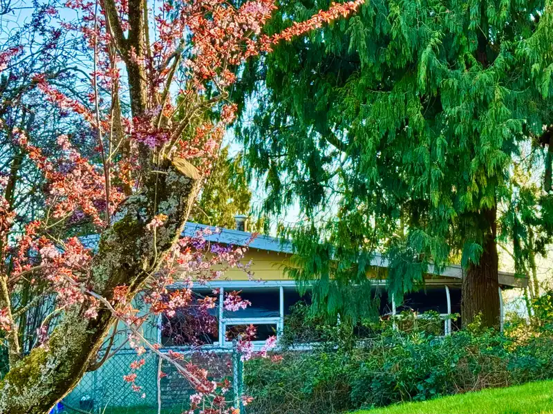 990 BALSAM STREET - photo 4 of 6