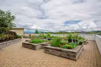 361 15850 26 AVENUE - thumbnail 29