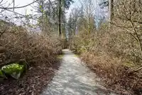 145 15168 36 AVENUE - thumbnail 28