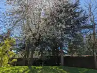 136 16275 15 AVENUE - thumbnail 35