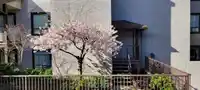 202 1444 MARTIN STREET - thumbnail 40