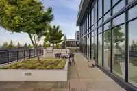 #313 1526 FINLAY STREET - thumbnail 35