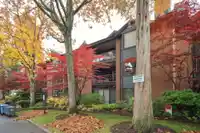 302 15300 17 AVENUE - thumbnail 27